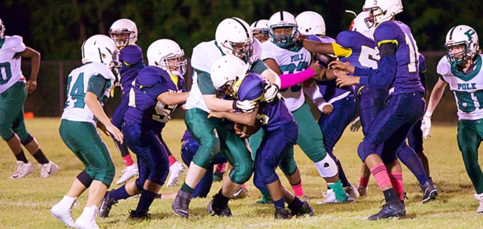 Polk vs Long