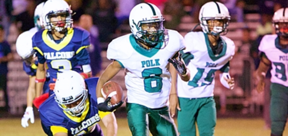 Polk vs Long