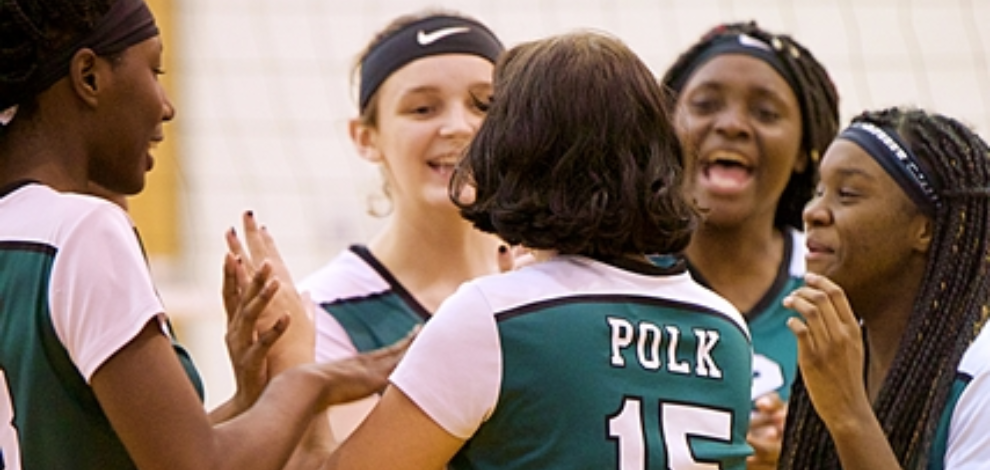 Polk vs Field